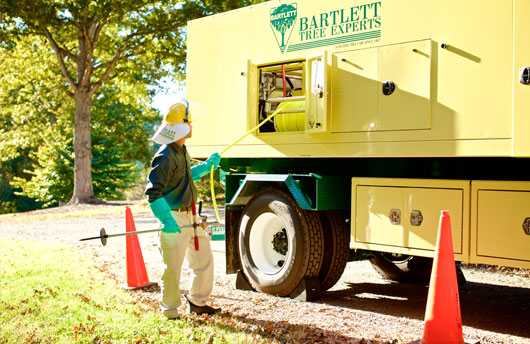 Bartlett Tree Experts Dans Papers 